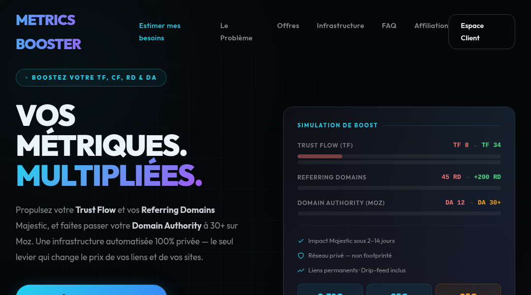 Aperçu du site Metrics Booster